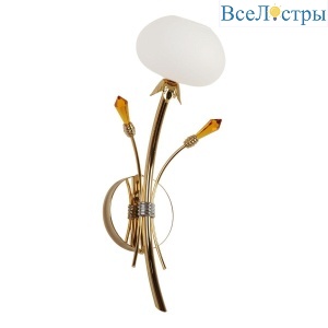 Бра Abrasax 6498-А1.11
