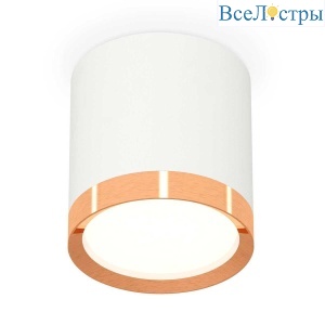 Комплект накладного светильника Ambrella light Techno Spot XS (C8141, N8126) XS8141005