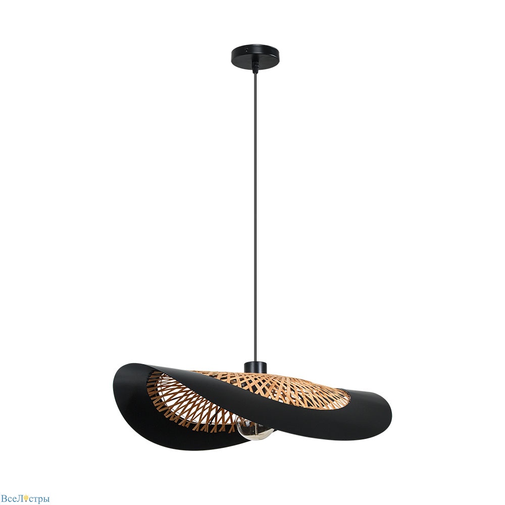 подвесной светильник arte lamp woodstock a7059sp-1bk