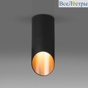 Потолочный светильник Elektrostandard DLN114 GU10 черный/золото 4690389151170