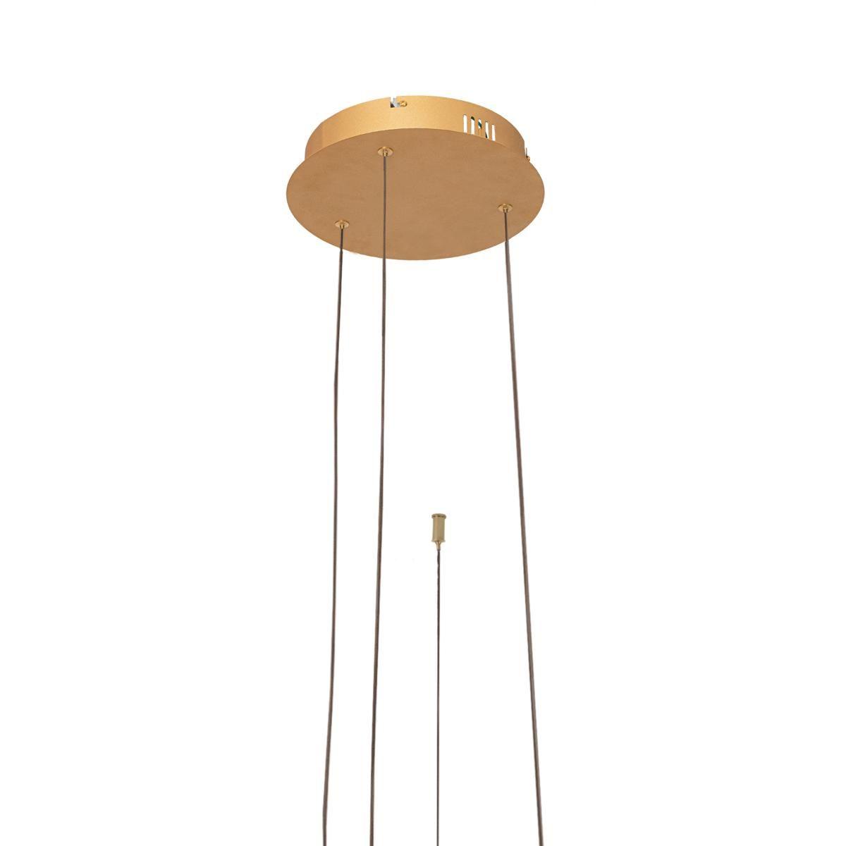 подвесной светодиодный светильник loft it ring 10017/3s