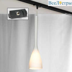Трековый светильник однофазный Lussole Varmo Track Lights LSN-0106-01-TAB