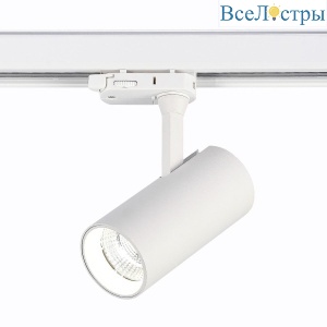 Трековый светодиодный светильник ST Luce ST661.546.10