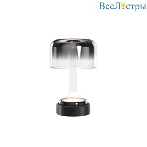 Настольная лампа с аккумулятором Maytoni Spirito MOD286RL-L3B3K