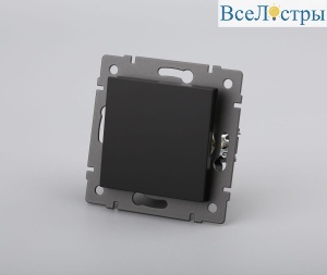 Механизм выключателя одноклавишный непроходной Arlight SWT-MK01-PL-BK-V (250V, 10A) 049868
