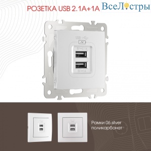 Розетка USB 2.1А+1А Arte Milano 206.46-1.silver
