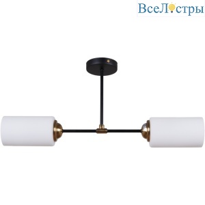Люстра на штанге Reluce 32348-0.3-02