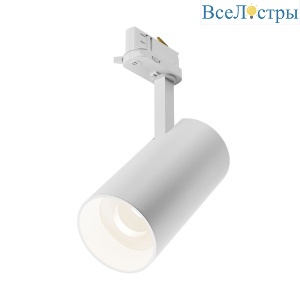 Трековый трехфазный светильник Maytoni Focus Led TR197-3-30WCCT-M-W