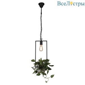 Подвесной светильник Favourite Situla 1975-1P