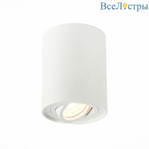 Потолочный светильник ST LUCE ST108.517.01