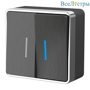Выключатель двухклавишный с подсветкой Werkel Gallant графит рифленый W5020104 4690389164194
