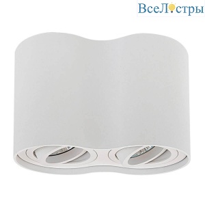 Накладной светильник Lightstar Binoco Duo 052026