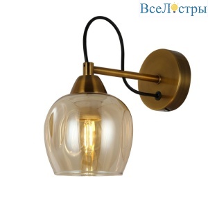 Настенный светильник EVOLUCE ACRO SLE110001-01