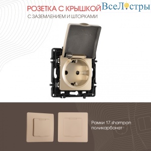Розетка с заземлением, шторками и защитной крышкой Arte Milano 217.41-1.shampan