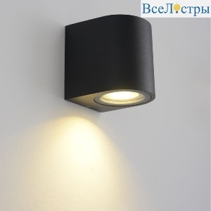 Уличный настенный светильник Crystal Lux CLT 527W1 BL