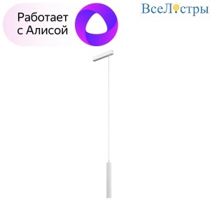 Трековый светодиодный светильник Denkirs DK8008-WH