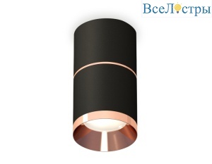 Потолочный светильник Ambrella Light Techno Spot XS7402201 (C7402, A2073, C7402, N7035)