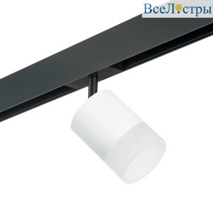 Трековый светильник Lightstar Rullo (213486+595087+202481) PRO348681