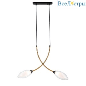 Подвесная люстра Indigo Fiore 13001/2P Black V000140