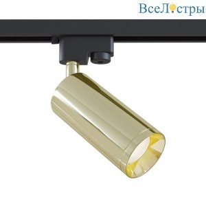 Трековый светильник Maytoni Track lamps TR004-1-GU10-G