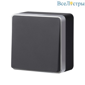 Выключатель одноклавишный Werkel Gallant (черный с серебром) W5010034 4690389163777 a051158