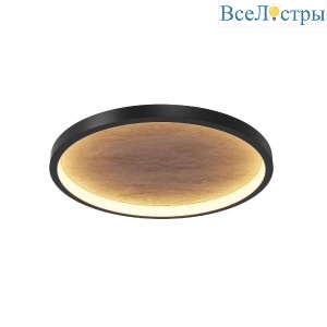 Потолочный светильник Maytoni Orign MOD311CL-L40B3K