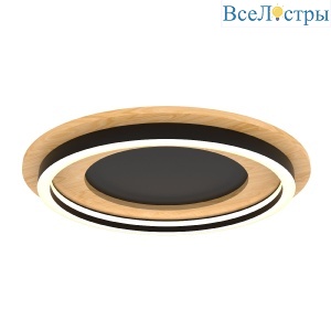 Потолочный светильник Lightstar Lodi 723017