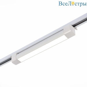 Трековый светильник ST Luce ST368.546.20