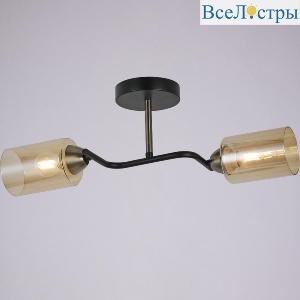 Потолочный светильник Illumico IL8148-2COU-79 BK BR Bice