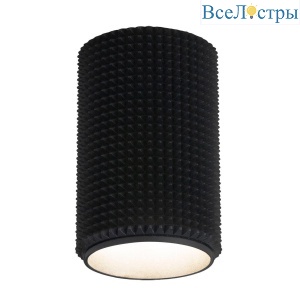 Потолочный светильник Elektrostandard Spike DLN112 GU10 черный 4690389149597