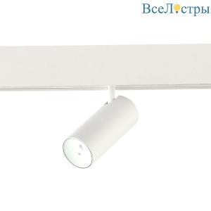 Трековый светодиодный светильник ST Luce SKYLINE 48 ST375.506.07