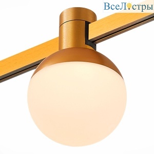 Трековый магнитный светильник ST Luce Farm ST815.246.05