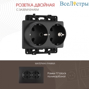 Розетка двойная с заземлением Arte Milano 217.40-2.black