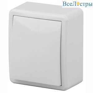 Выключатель одноклавишный ЭРА Эксперт 10AX 250V 11-1201-01 Б0020653