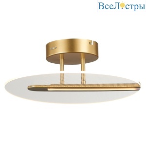Потолочный светильник Simple Story 1165-LED17CL