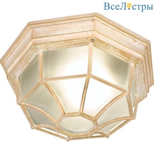 Уличный светильник Feron Аликанте PL661 11652