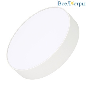 Потолочный светильник Arlight IM-RONDO-EMERGENCY-3H-R250-33W Warm3000 (WH, 120 deg, 230V) 041062