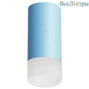 Накладной светильник Lightstar Rullo R43531 (214435+202431)