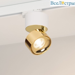 Трековый трехфазный светильник Arlight SP-PLURIO-TRACK-4TR-R77-9W Day4000 (WH-BRS, 36 deg, 230V) (IP20 Металл) 038100