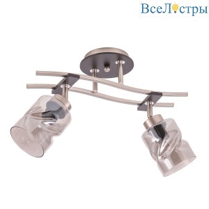 Спот Citilux Мерида CL142125