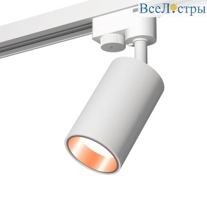 Комплект трекового светильника Ambrella light XT6322023 SWH/PPG белый песок/золото розовое полированное (A2520, C6322, N6113)