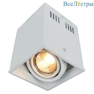 Потолочный светильник Arte Lamp Cardani A5942PL-1WH