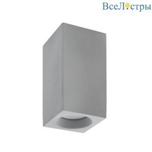 Потолочный светильник Denkirs DK5002-CE