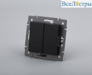 Механизм выключателя двухклавишный проходной Arlight SWT-MKP2-PL-BK-V (250V, 10A) 049893