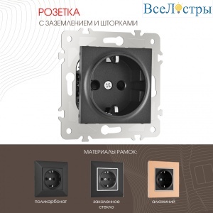 Розетка с заземлением и шторками Arte Milano 203.40-1.black