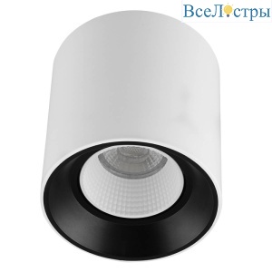 Накладной светильник Denkirs DK3090-WB+WH