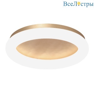 Потолочный светильник Vitaluce V2538DT-8/1PL