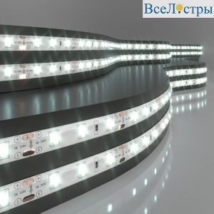 Светодиодная лента Elektrostandard 24V 4,8W 60Led 2835 IP65 холодный белый, 5м 4690389167843