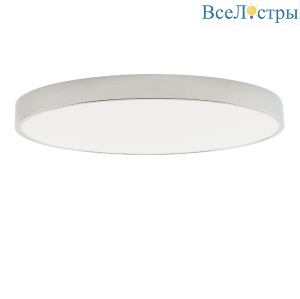 Потолочный светильник Zortes Tortty ZRS.02565.96