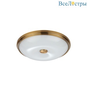 Настенно-потолочный светильник Odeon Light Pelow 4956/4